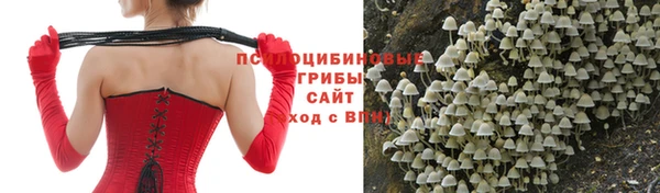 не бодяженный Армянск