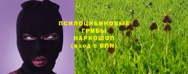 PSILOCYBIN Нязепетровск