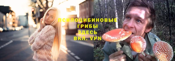 молекула духа Аркадак