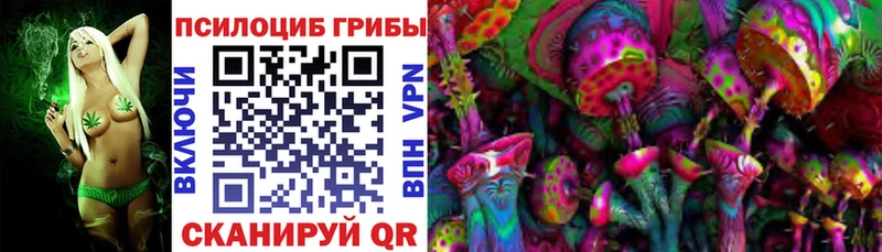 дарнет шоп  Мещовск  Псилоцибиновые грибы Magic Shrooms 
